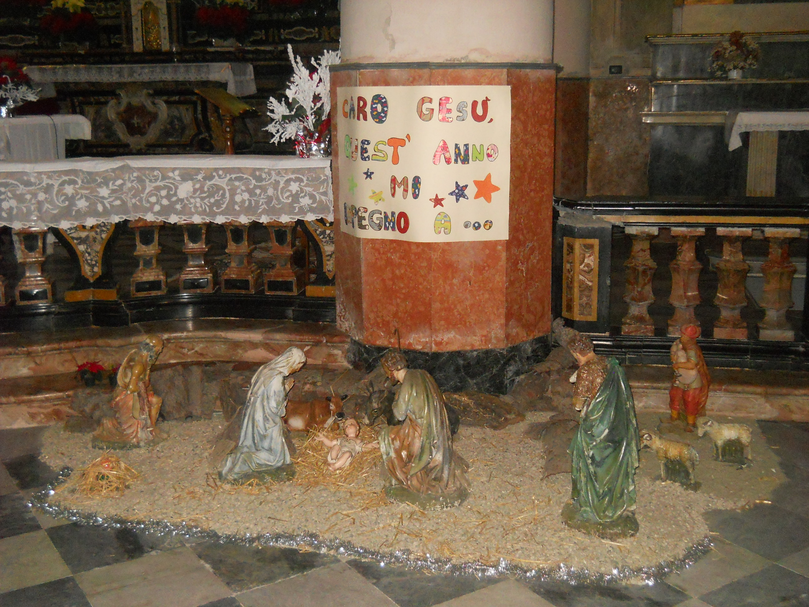 dscn7871.JPG