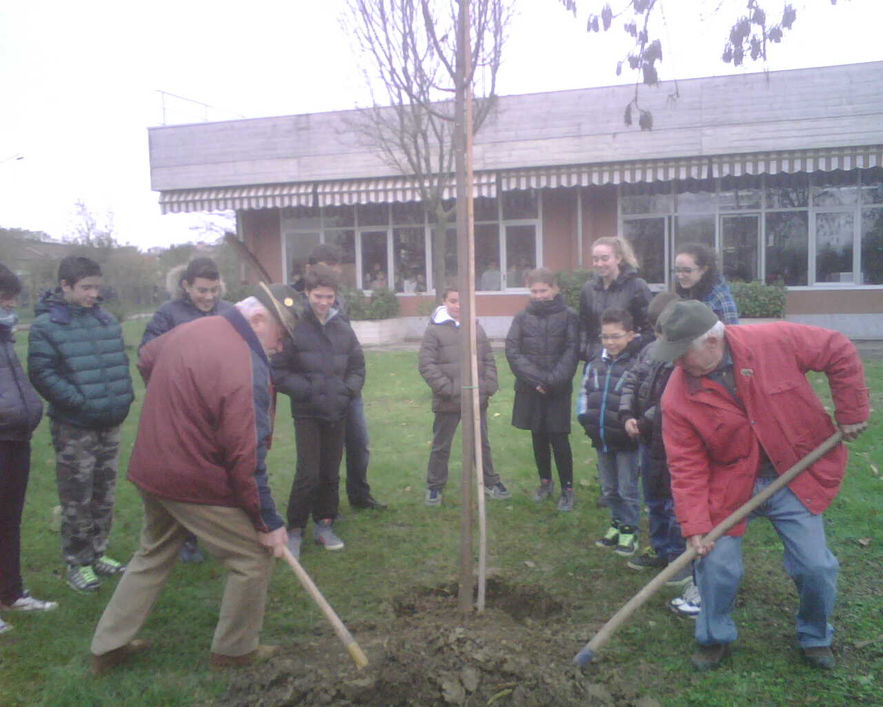 festa-albero.jpg