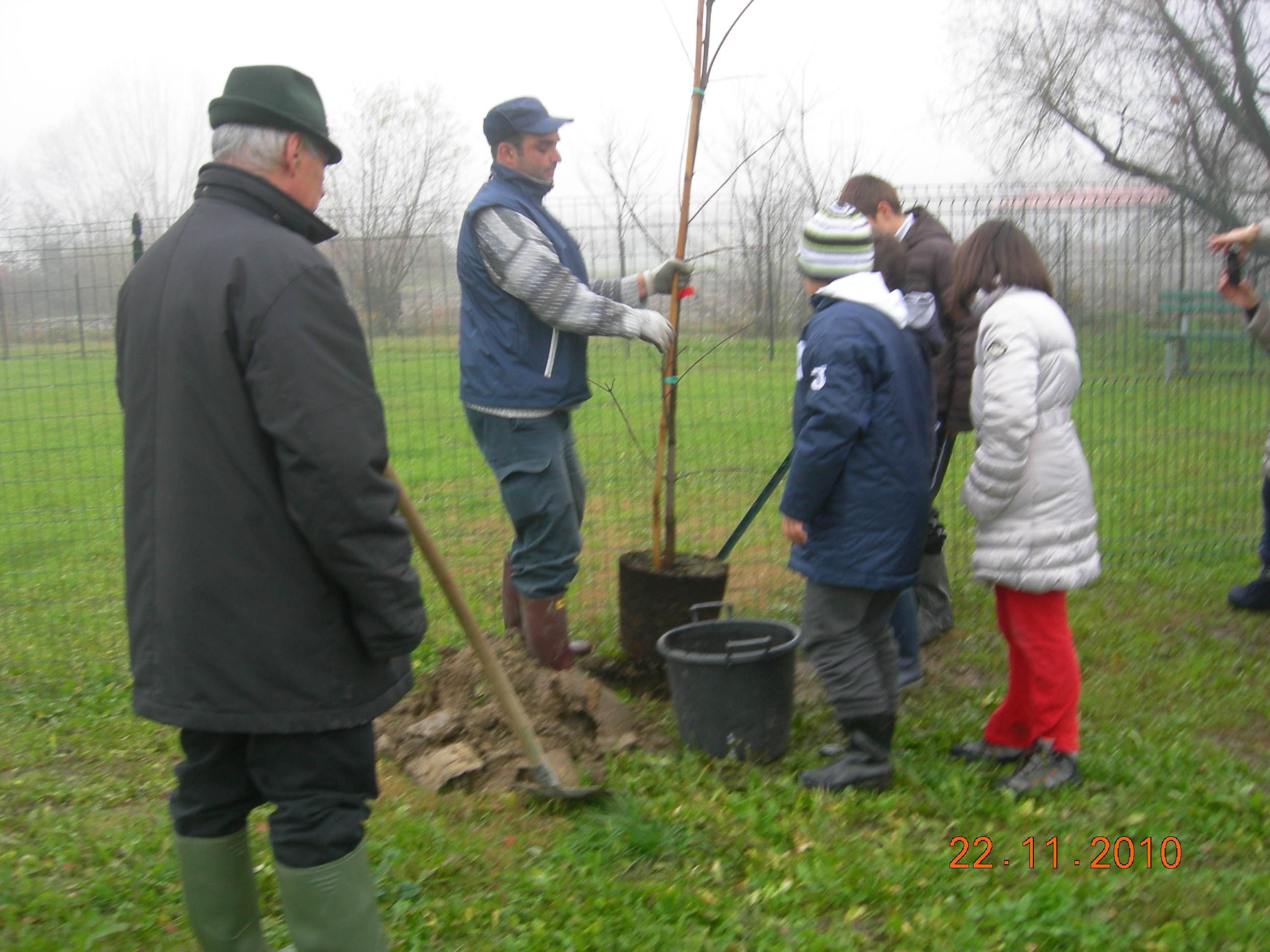 giornata-albero-2010-1.JPG