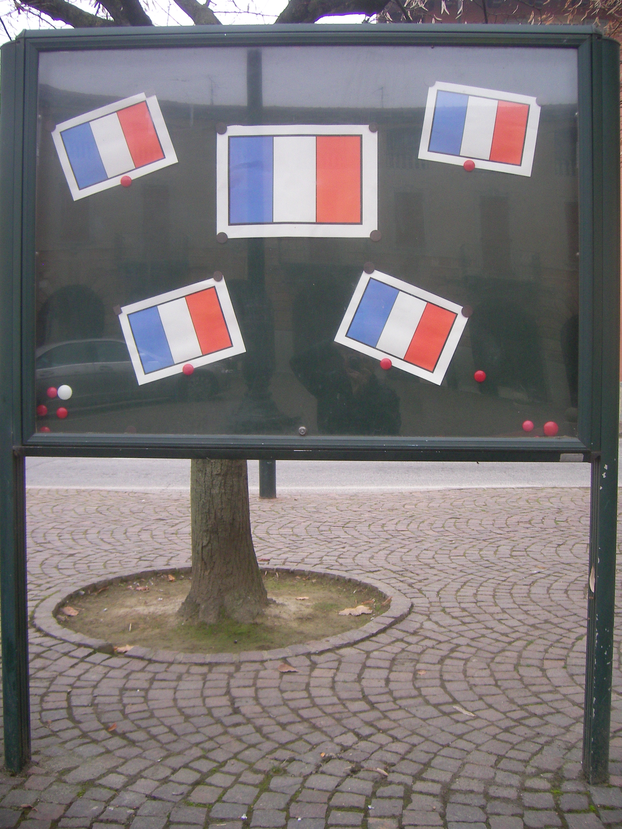 la-bacheca-in-piazza-a-occimiano-con-le-5-bandiere-francesi.jpg