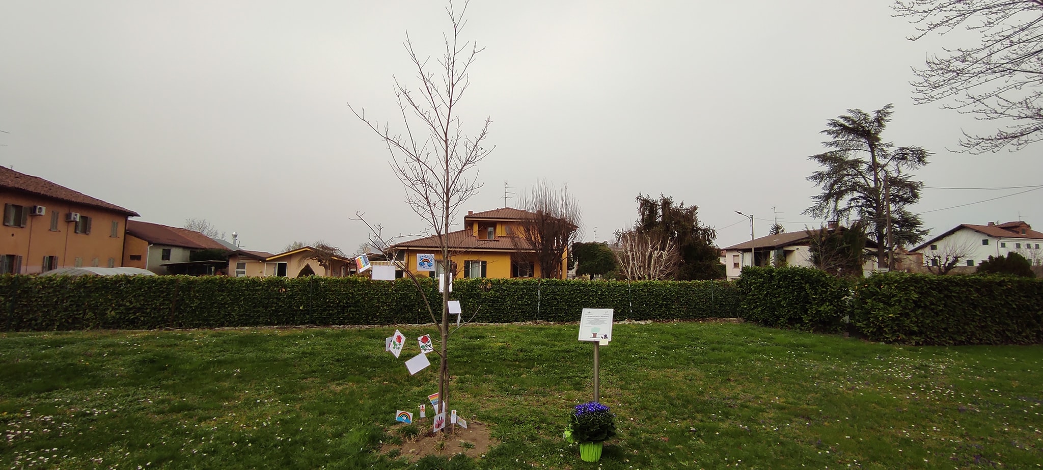memoria-covid-3.jpg